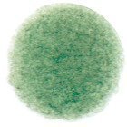 Tombow Ceruzka Irojiten, Scouring rush