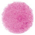 Tombow Ceruzka Irojiten, Anemone pink