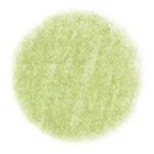 Tombow Ceruzka Irojiten, Willow