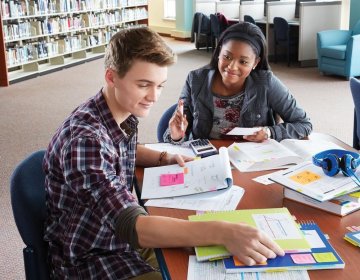 Kalia  - 1014335.jpg