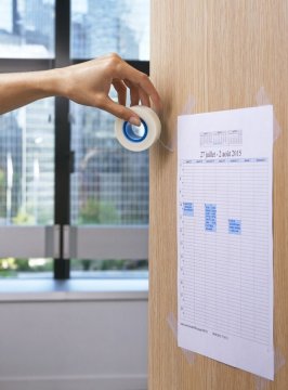 Kalia  - 1089951.jpg