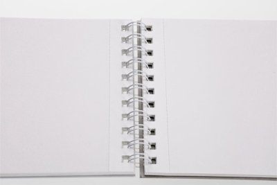 Kalia  - 5AS-20(260)TS_SMLTArt_Traditionalwatercolor_spiral.jpg