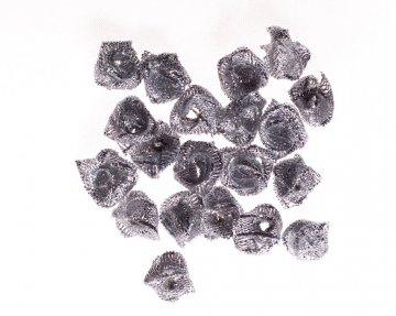 Kalia  - AR20S.jpg