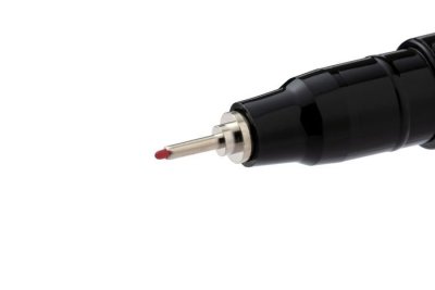 Kalia  - WSEFL2503_tip.jpg