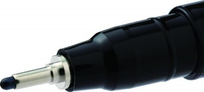 Kalia  - wseflh08_tip.jpg